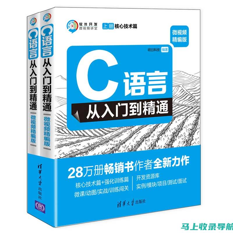 从入门到精通：揭秘站长在网站建设企业的全方位职责攻略